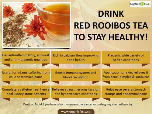 The Many Health Benefits of Drinking Rooibos Tea 